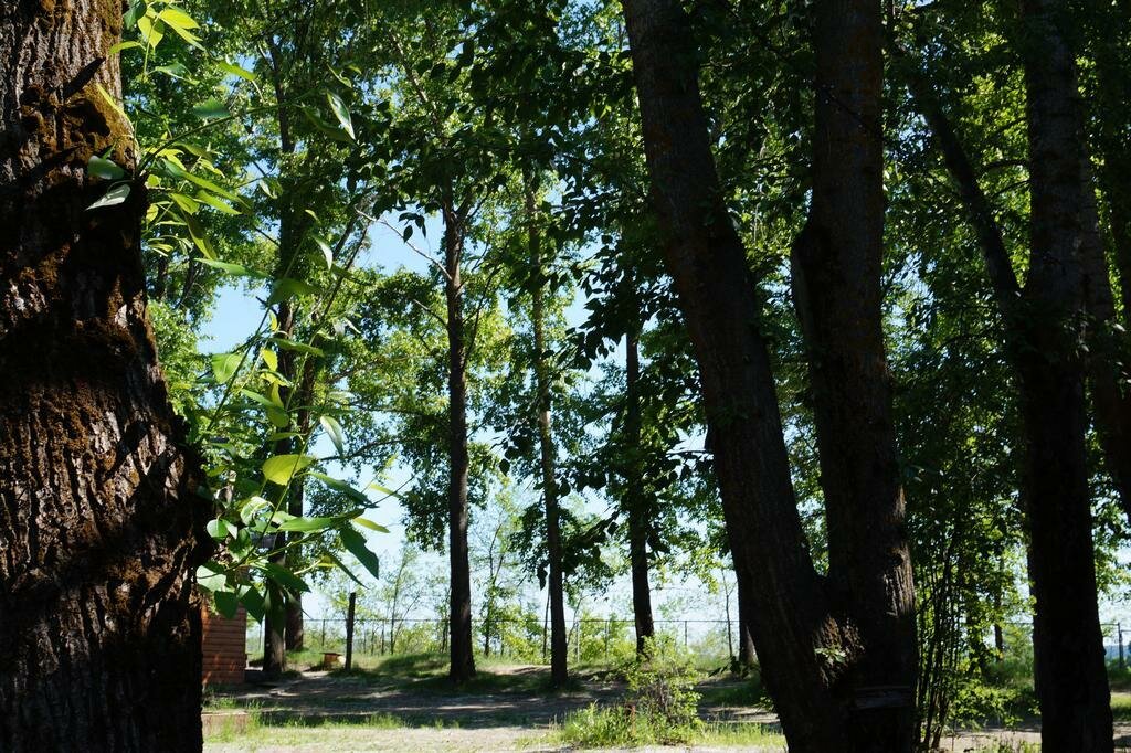 База отдыха Займище Казань-54