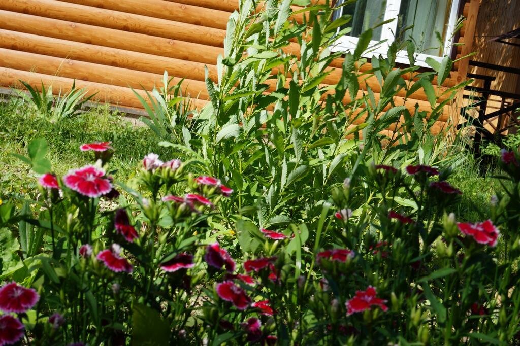 База отдыха Займище Казань-48