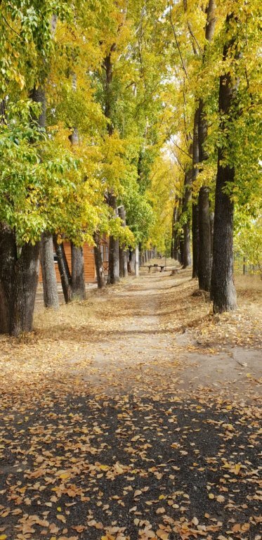 База отдыха Займище Казань-32