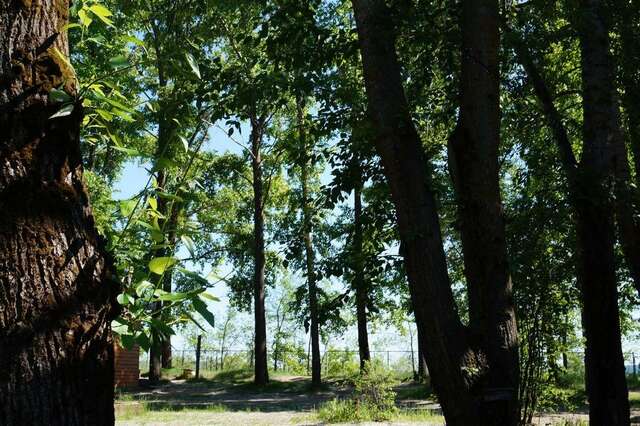 База отдыха Займище Казань-53