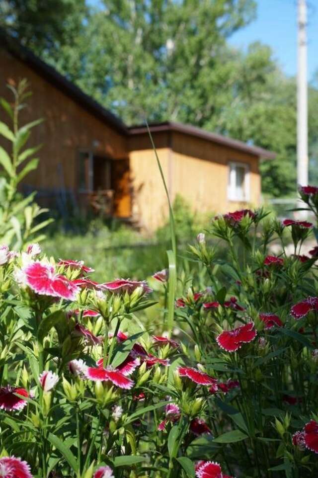 База отдыха Займище Казань-17