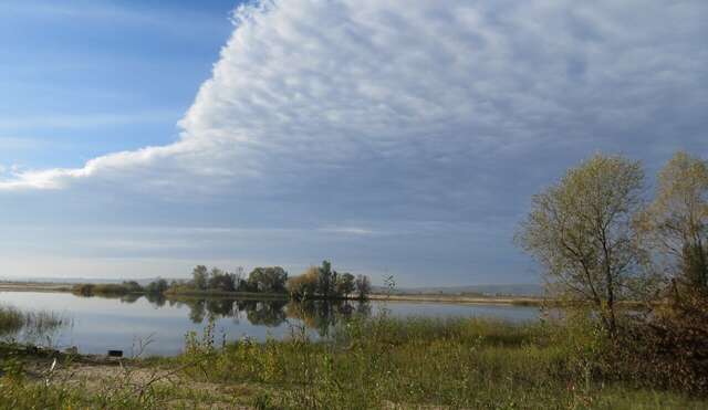 База отдыха Займище Казань-11
